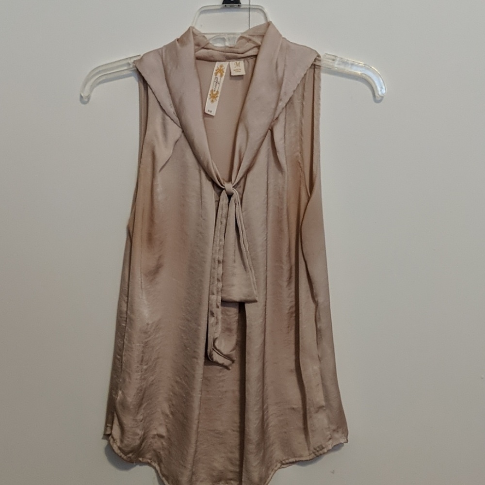 Champagne blouse